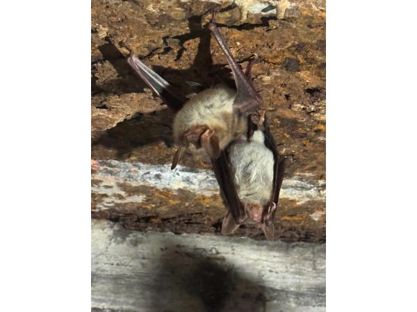 WhatsApp Image 2026-03-23 at 14.50.10 (3)